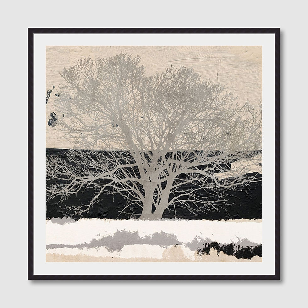ภาพขนาดย่อ: Silver Tree (A)