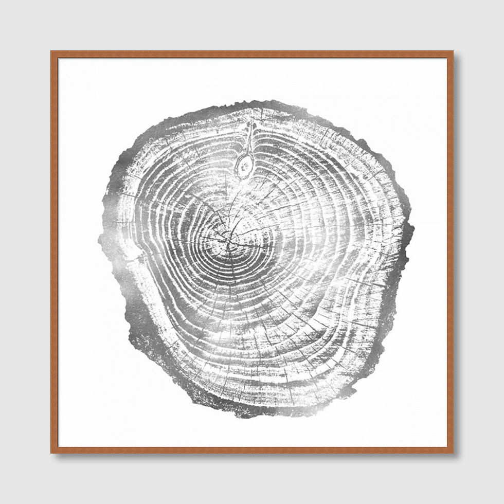 Thumbnail: Timber Silver III (A)