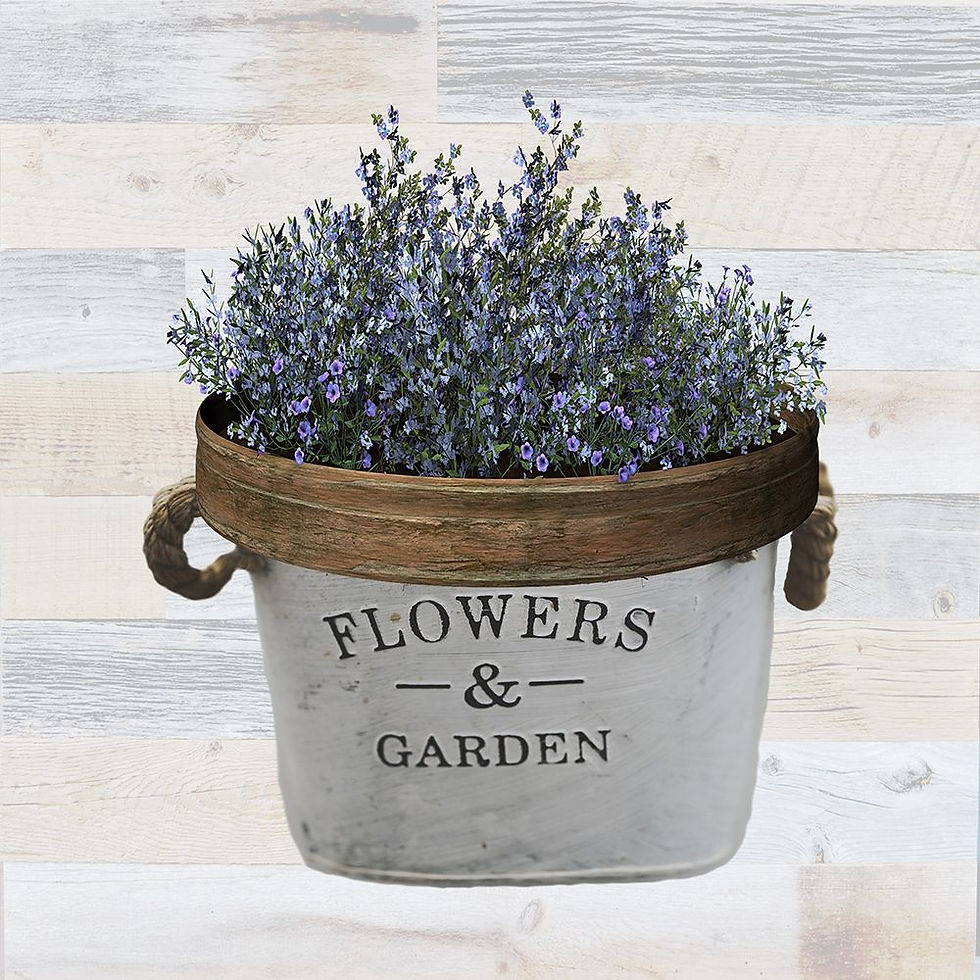 Thumbnail: Flowers and Garden (A)