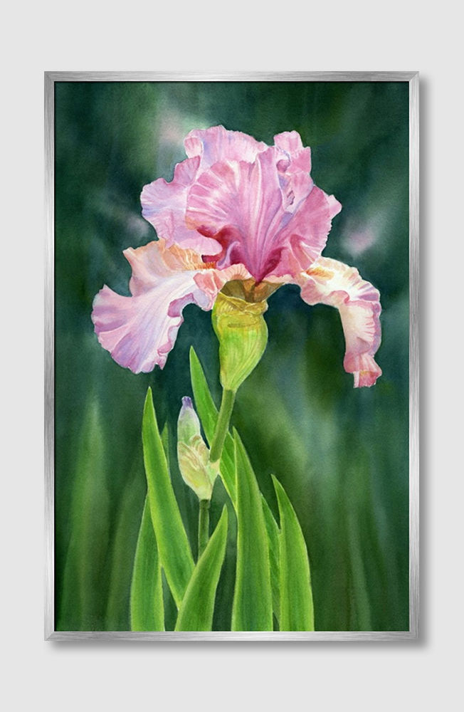 Thumbnail: Beauty of Nature No. 133 (D)
