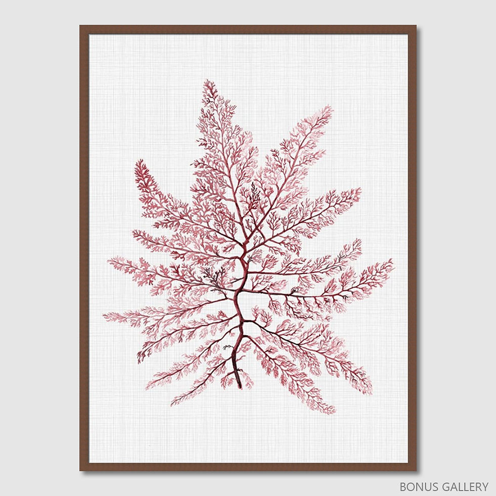 Thumbnail: Bermuda Blush Poster (E)