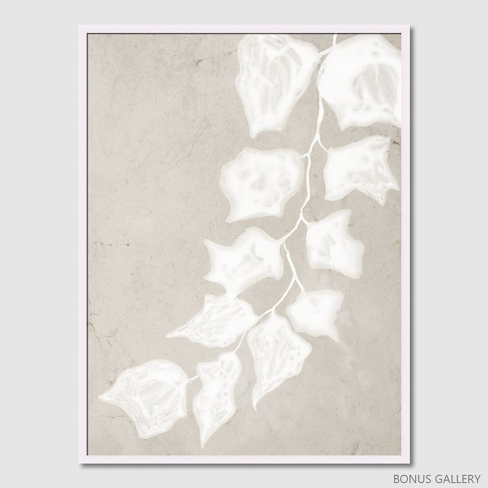 ภาพขนาดย่อ: Paper Bark III  (E)
