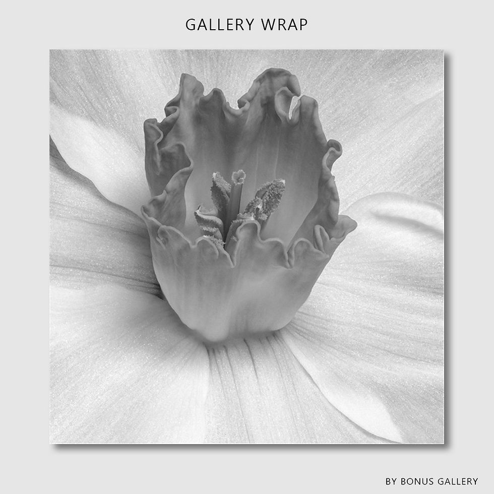 Thumbnail: Floral Bud 2 (A)