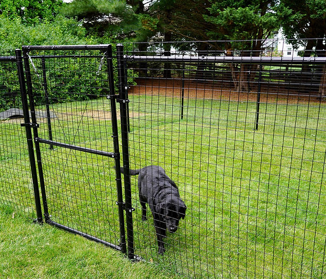 Dog enclosure built to secure dog in Jackson, Ga