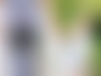 完美主義的育成