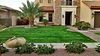 Lush green lawn in Phoenix
