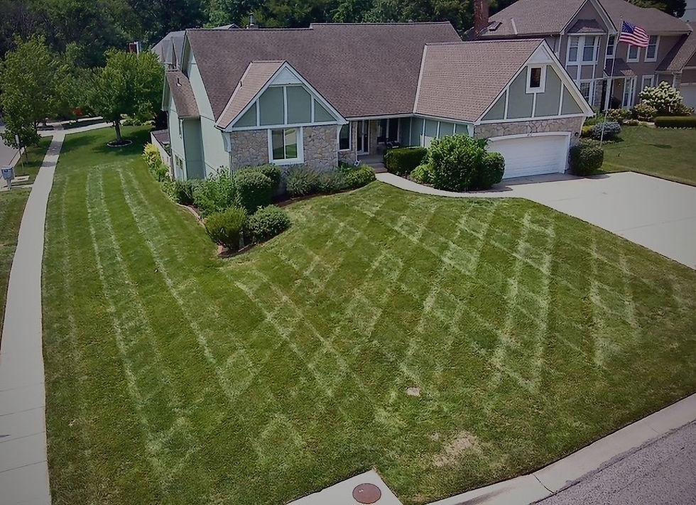 image13 (1)_edited.jpg