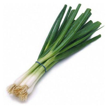 CEBOLLA