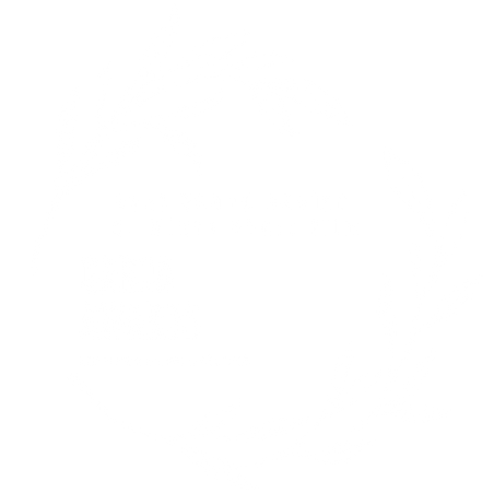 BEST SOUND DESIGN MICRO FILM.png