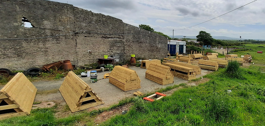 XC fences unpainted.jpg