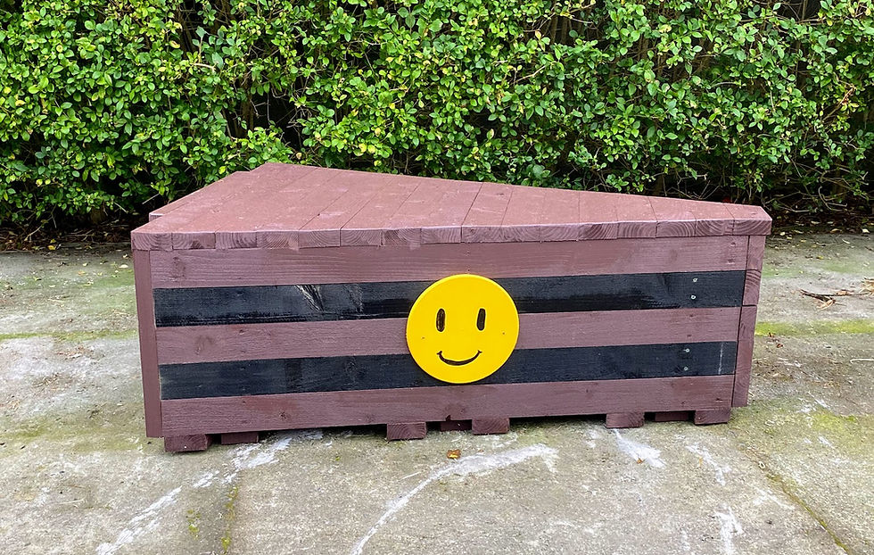 corner cross country jump with smiley face.jpg