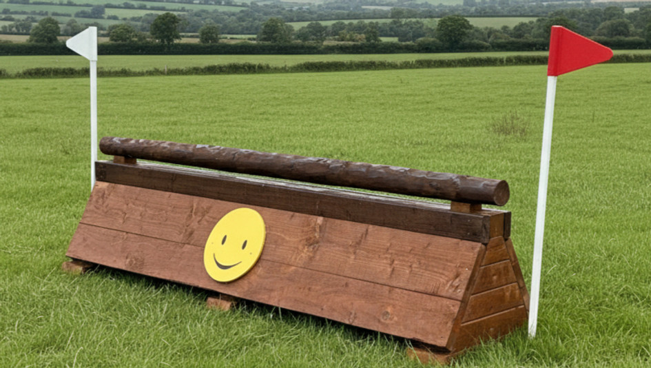 CHILDRENS CHICKEN COOP CROSS COUNTRY JUMP WITH KNOCKABLE POLE_edited.jpg