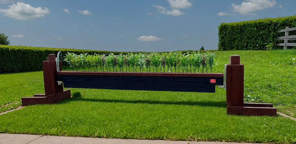 hanging flower fence_edited.jpg