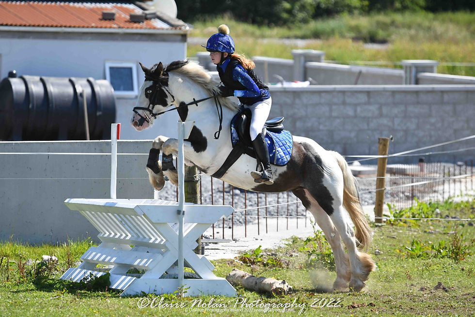 Hayfeeder Cross Country Fence
