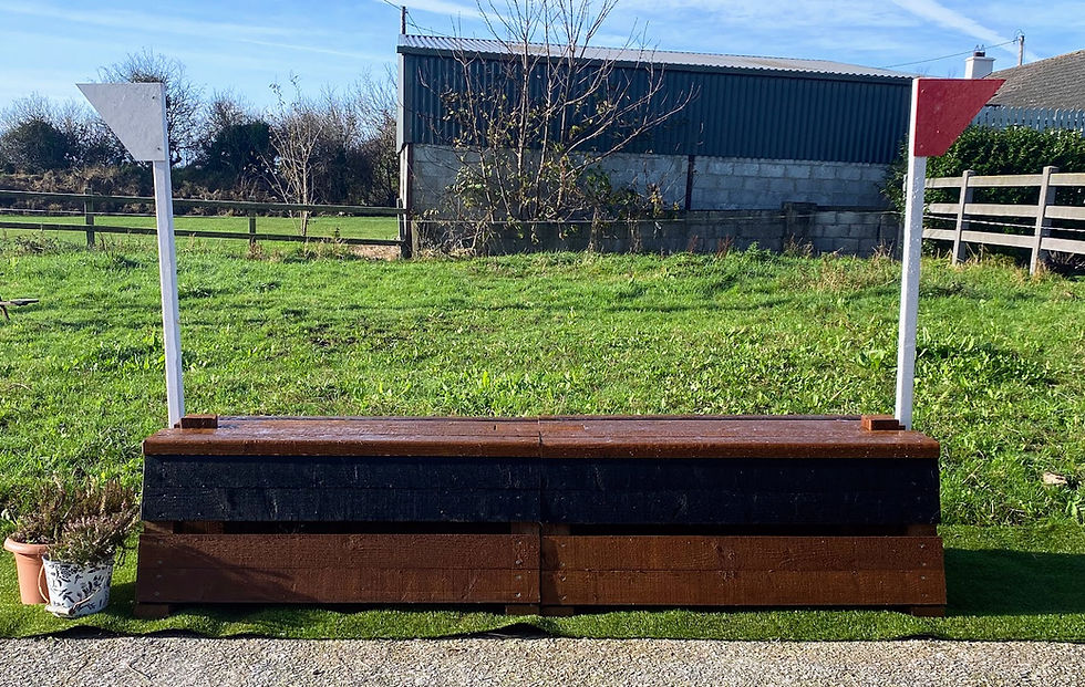 mini table top cross country jump pair.jpg