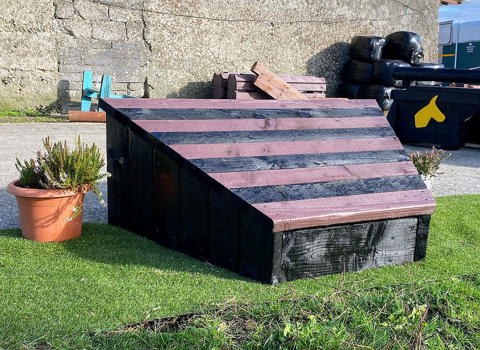 arrowhead mini cross country jump.jpg