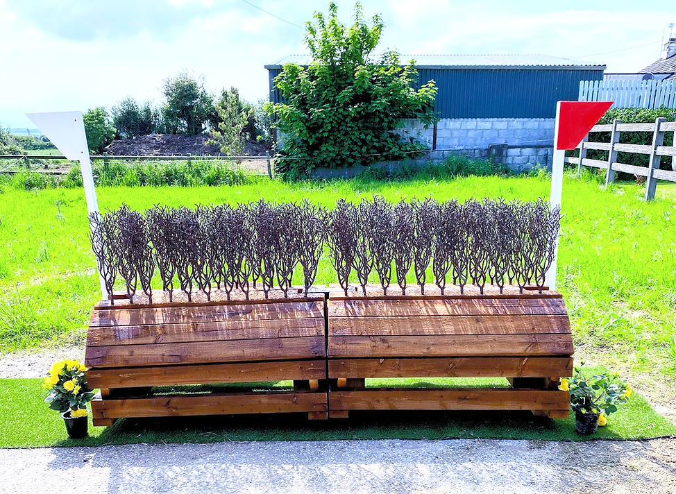 Curve Top Cross Country Jump with 2 rows of plastic birch_edited.jpg