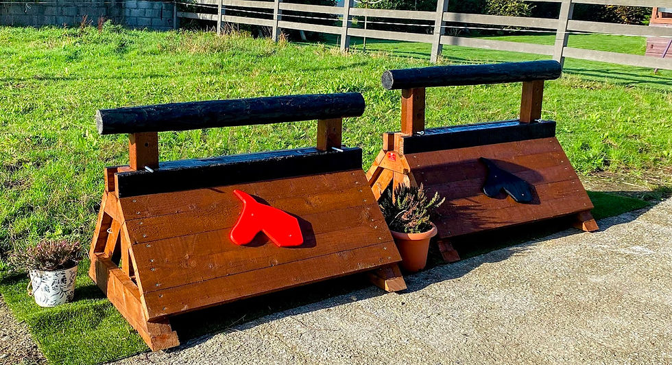 pair of chicken coop cross country jumps.jpg