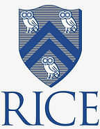 rice.png