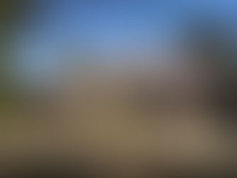 BD DVD のコピー待ちにお花見を