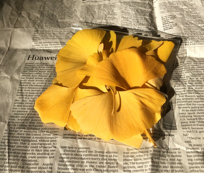 OPP袋包装 無料 キャンペーン実施中！