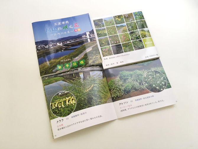 ～川辺に咲く花～　散歩図鑑