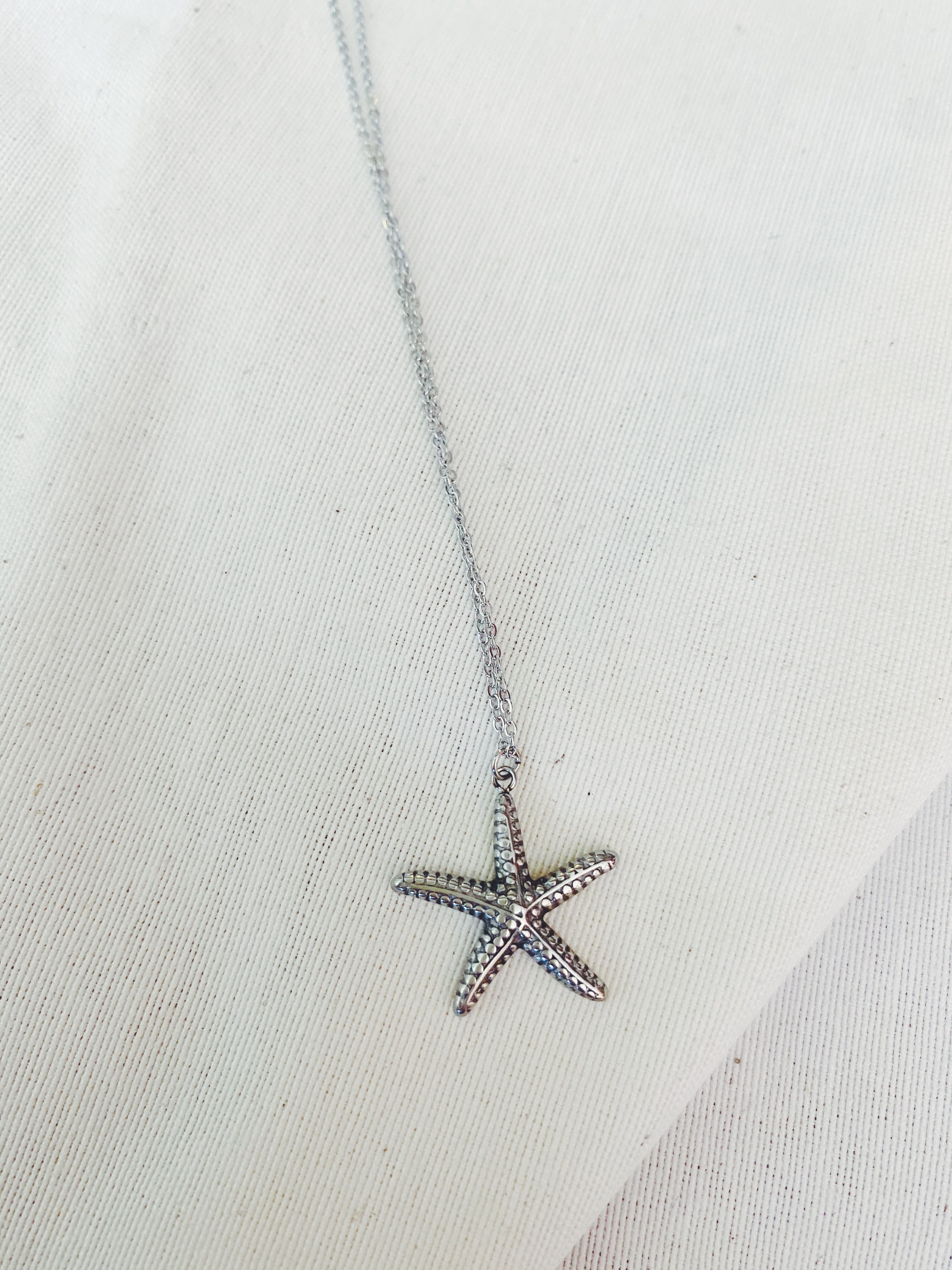 Estrella de mar plata