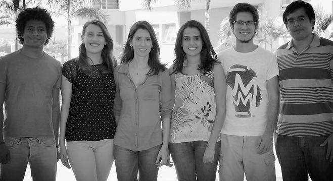 Ana Luiza Cardoso Pereira, grupo, unicamp, pesquisa, fca, grafeno