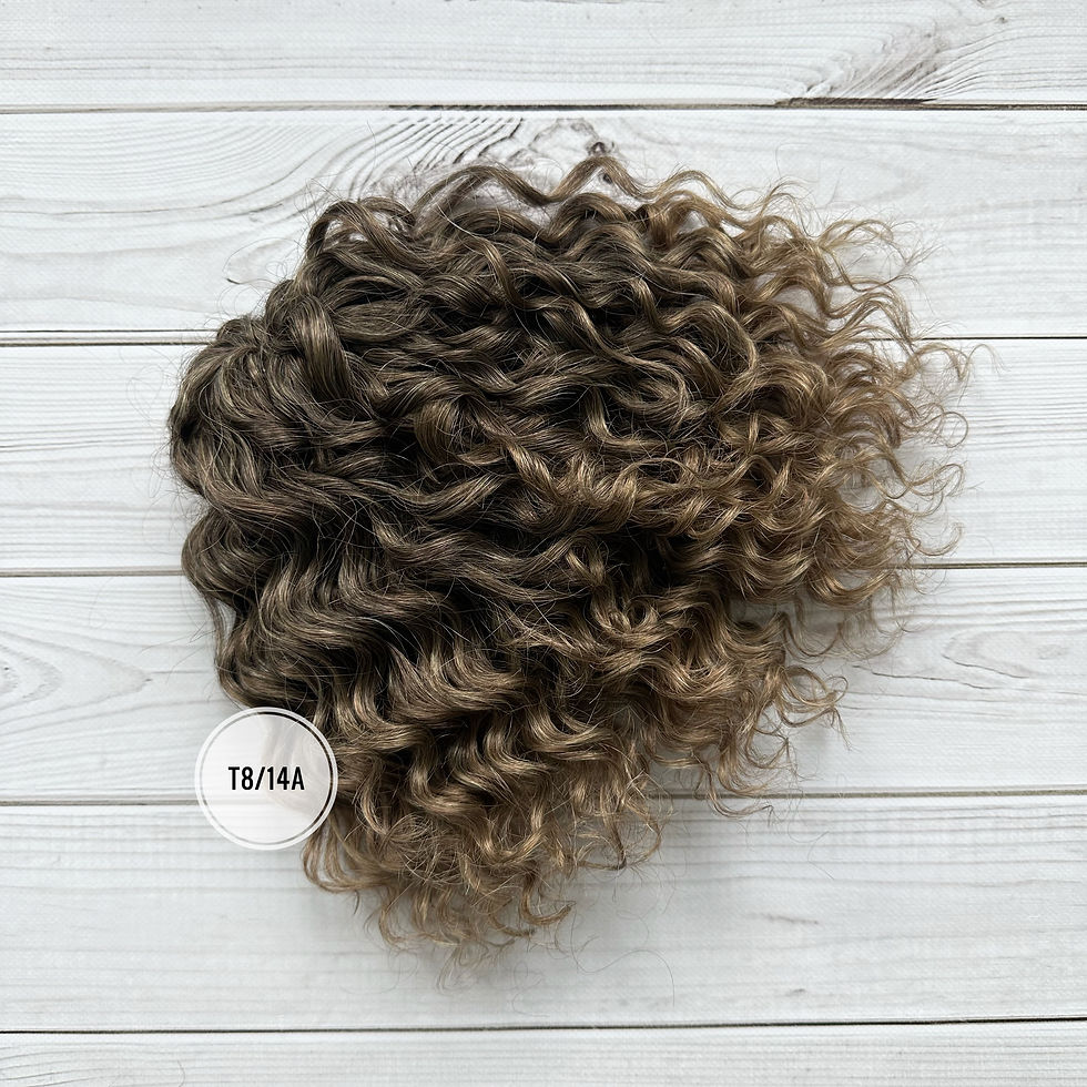 Афрокучері Jessica, 25 см, колір T8-14A