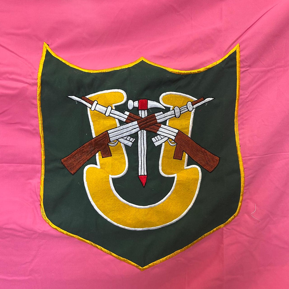 Thumbnail: ITBP Frontier Flags