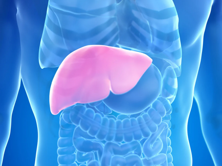 You’ve Been Lied To About Your Liver. It’s Time for the TRUTH.