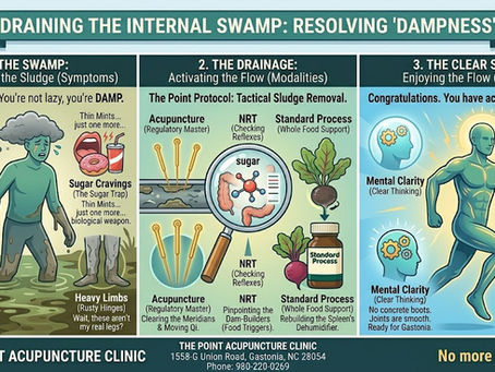The Gastonia Swamp: Why You’re Not Just Lazy, You’re "Damp"(Poor Digestion)