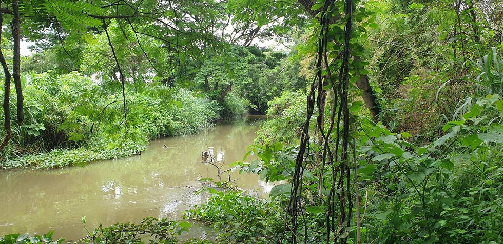 Thumbnail: ที่ดินสวย ทำเลดี เนื้อที่ 7ไร่ 322ตร.วา Beautiful land,  area 12,488 Sq.m.