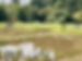 2021-09-11_13-10-24_882.heic