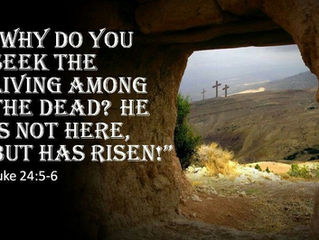 UNBELIEF IN THE RESURRECTION REBUKED        