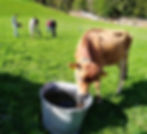 WhatsApp Image 2018-09-12 at 10.01.15_edited