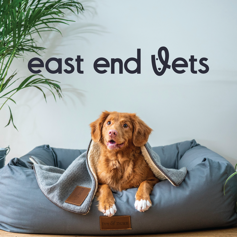 Vet clinic in Canada