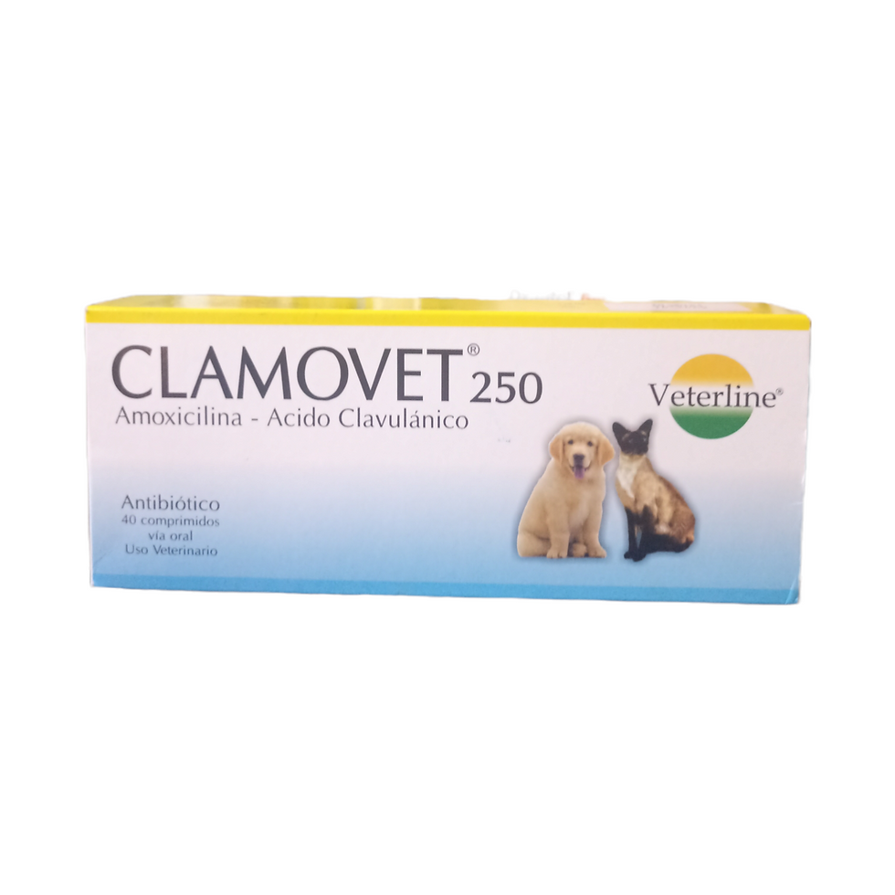 CLAMOVET 250