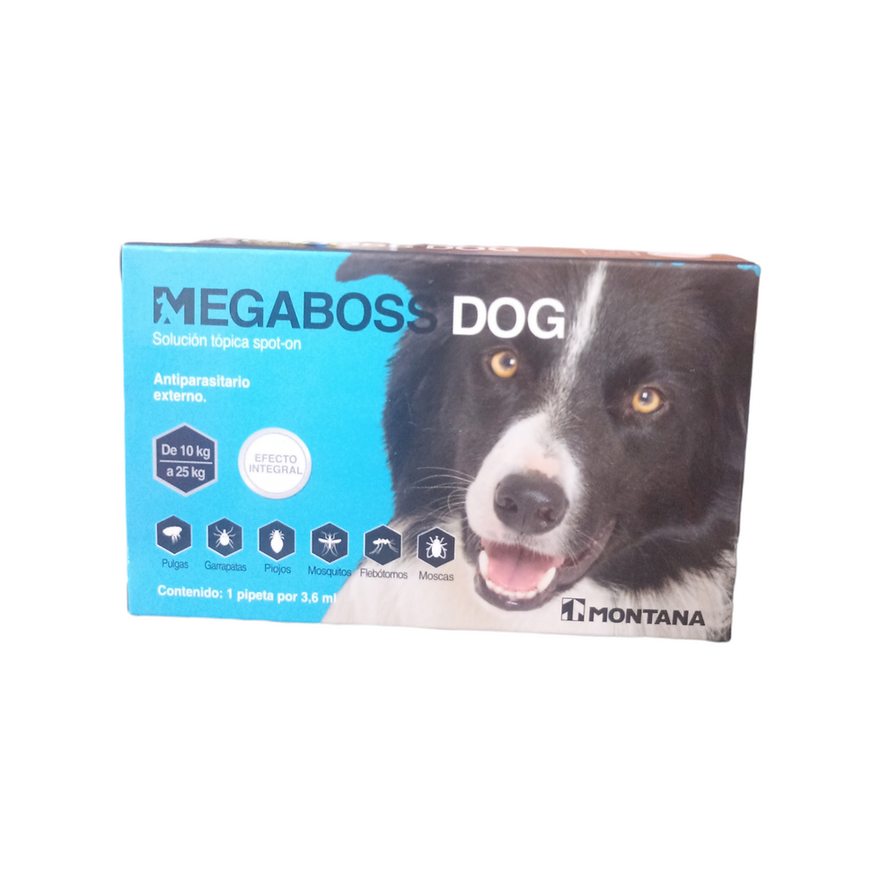 MEGABOSS DOG