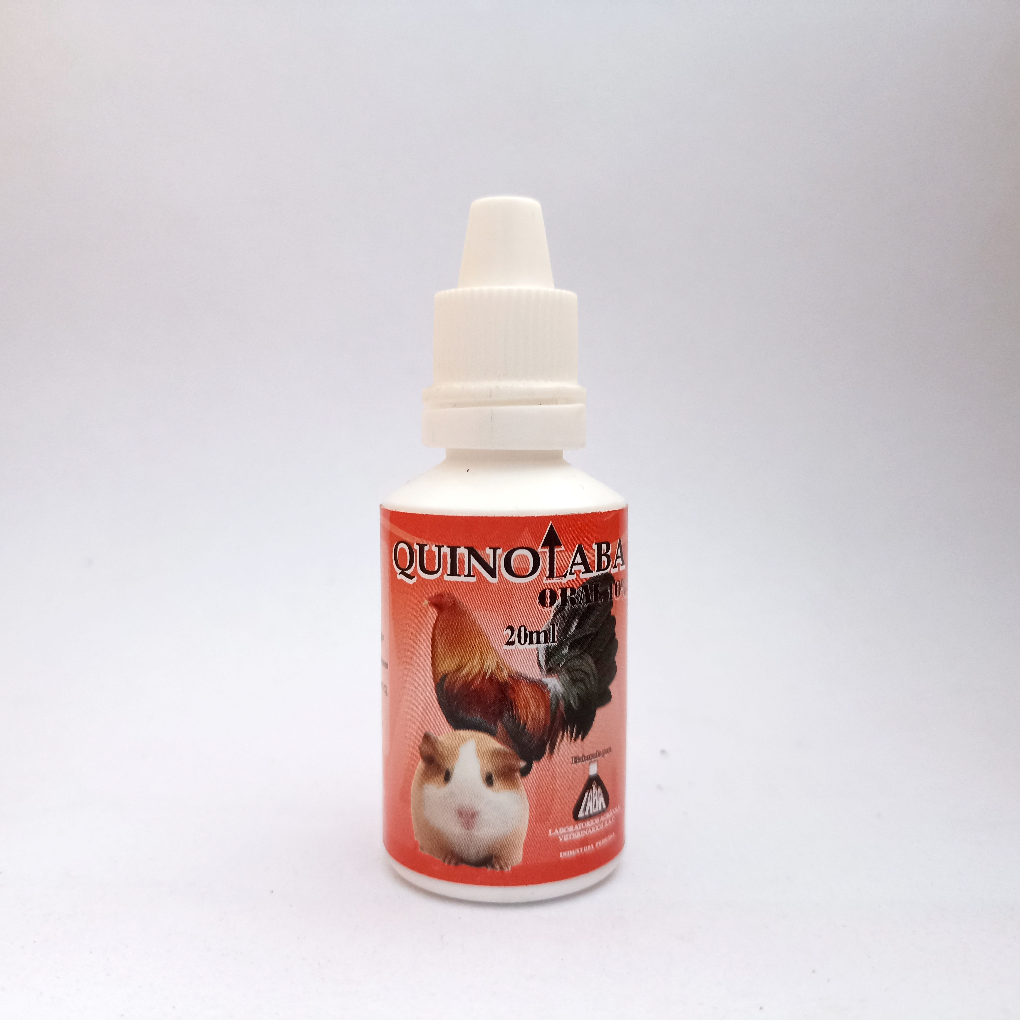 Quinolava