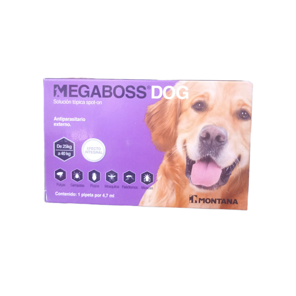 MEGABORR DOG