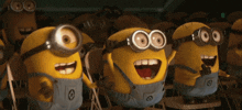 little yellow minions wearing overalls are cheering