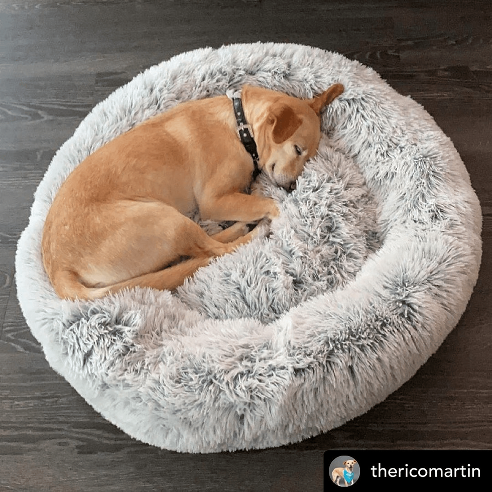 Thumbnail: Mr. Peanut's OrthoPlush Pet Bed for Superior Comfort and Spinal Support