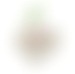 Grief and Loss: Healing the Heart and Mind