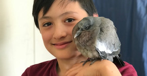 Etinç'ailes vue par un élève