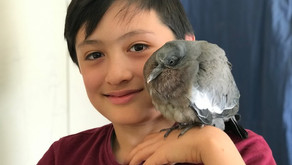 Etinç'ailes vue par un élève