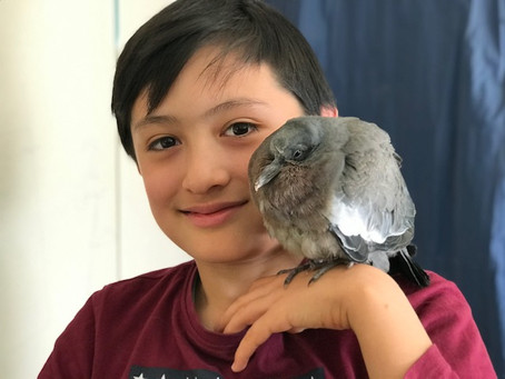Etinç'ailes vue par un élève