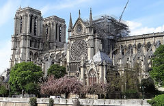 visitar-notre-dame.jpg