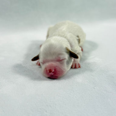 light pink band girl_edited.jpg