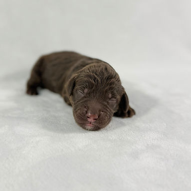 Blue band boy_edited.jpg